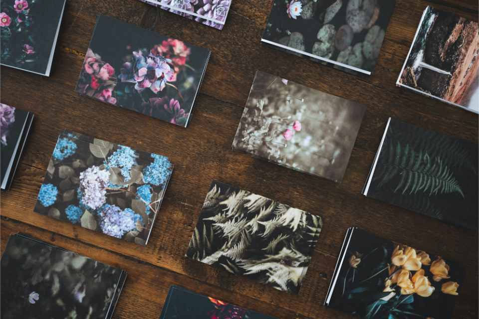 Nature-themed photo cards arranged on wooden surface.